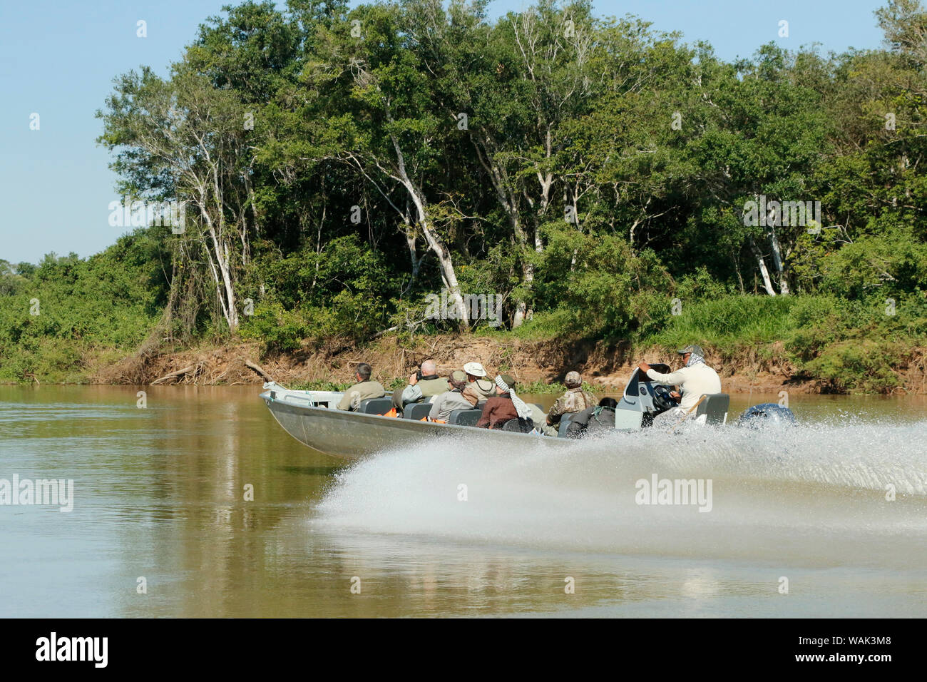 Pantanal, Mato Grosso, Brasile. Barca piena di turisti corse off per un nuovo rapporto di una Jaguar, sul fiume Cuiaba. (Solo uso editoriale) Foto Stock