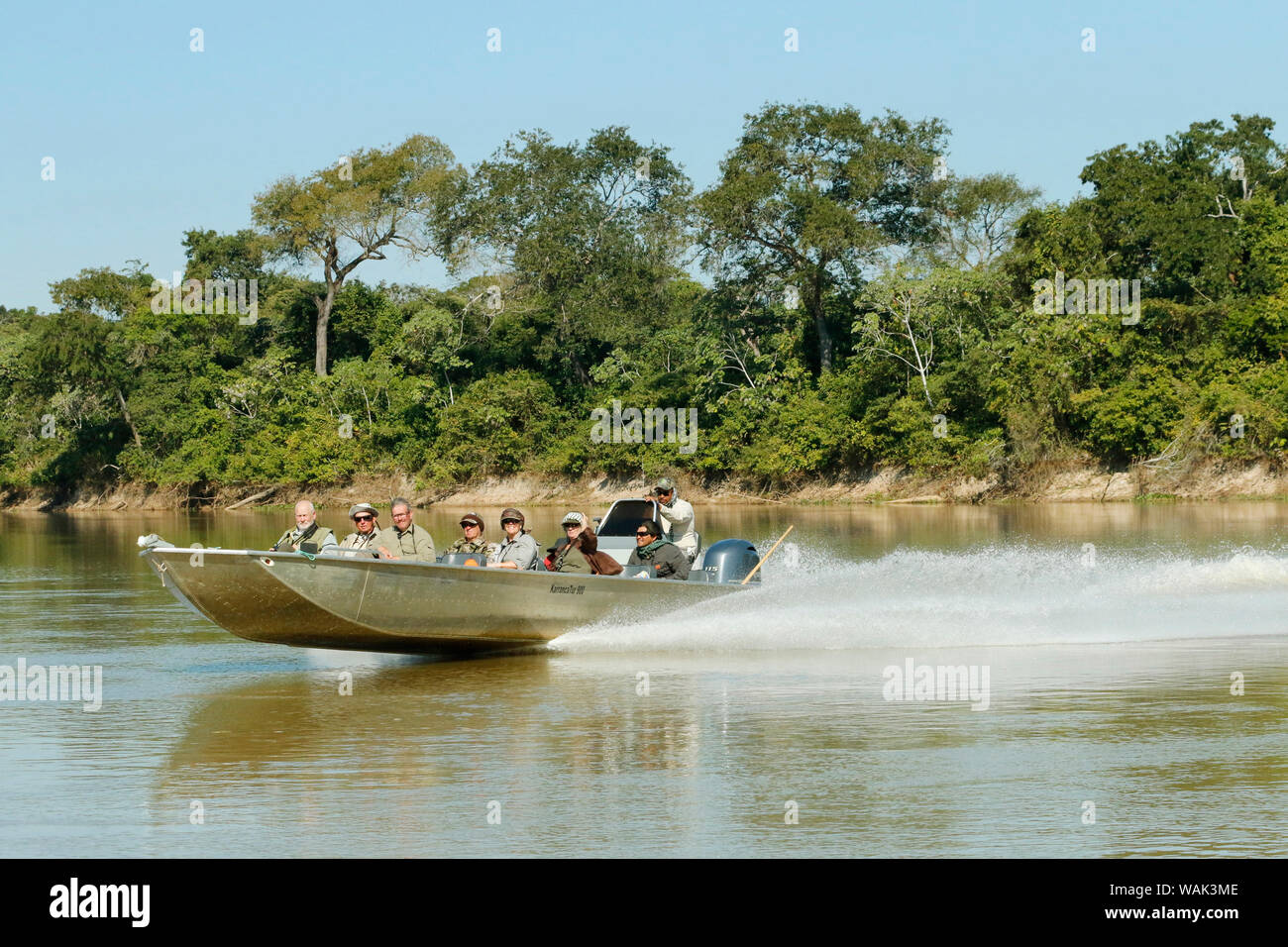 Pantanal, Mato Grosso, Brasile. Barca piena di turisti corse off per un nuovo rapporto di una Jaguar, sul fiume Cuiaba. (Solo uso editoriale) Foto Stock