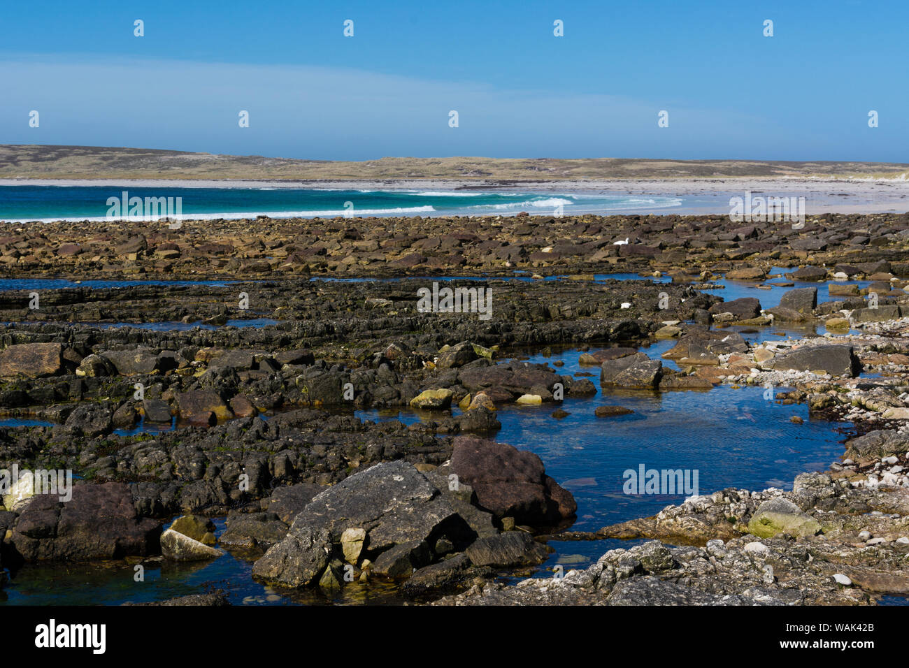 Litorale di Cape Dolphin. Foto Stock