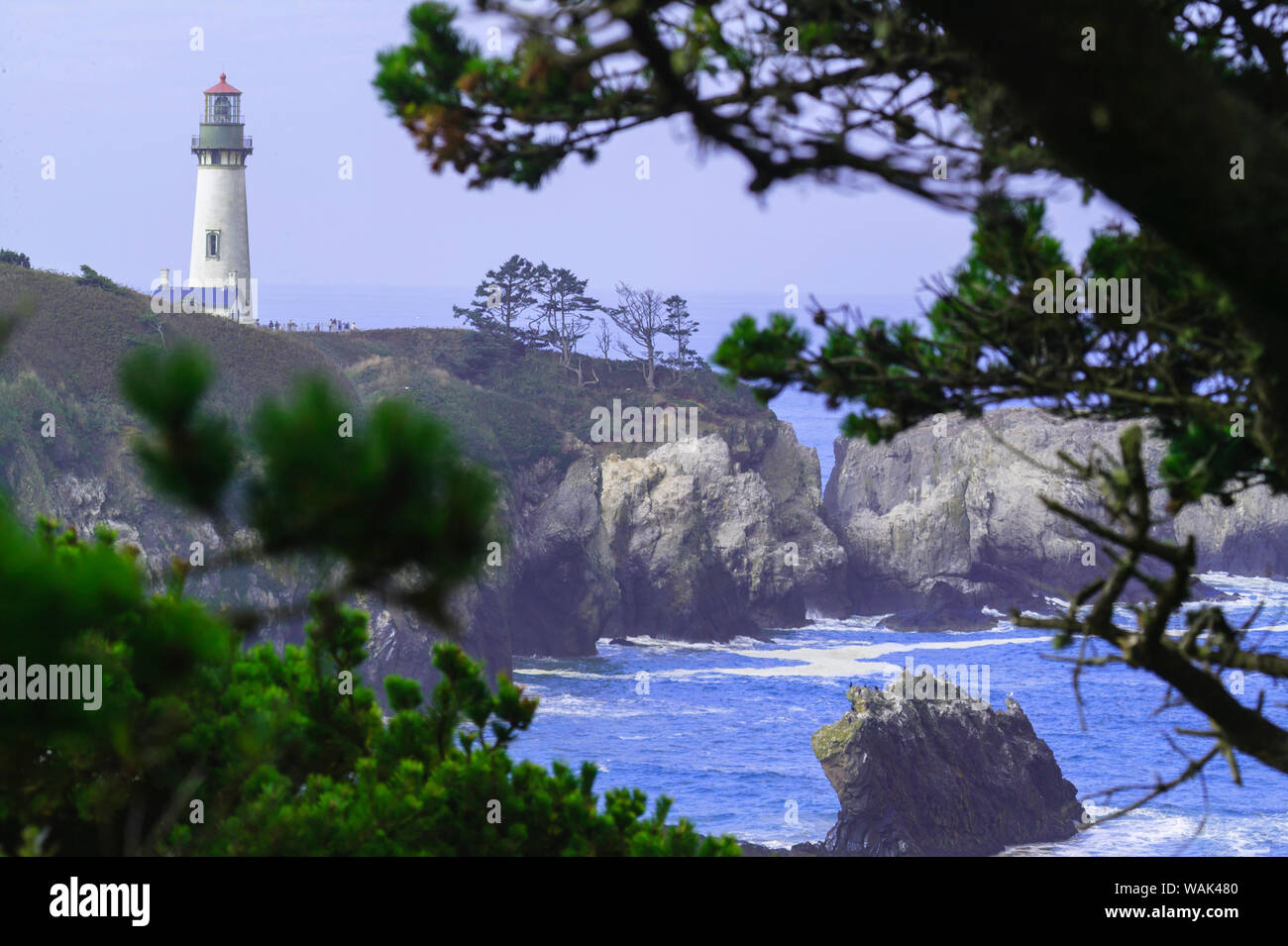 Yaquina Capo Faro, vicino a Newport, Oregon Coast Foto Stock