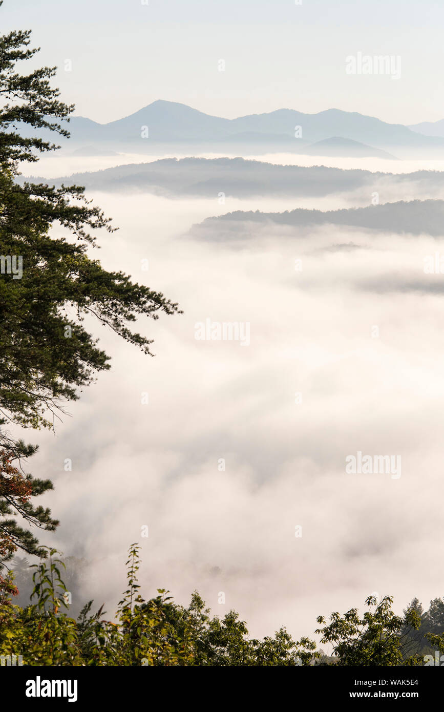 Stati Uniti d'America, Tennessee, Great Smoky Mountains National Park. Dense nubi in valli dai Foothills Parkway. Picco più alto è Thunderhead Mountain Foto Stock