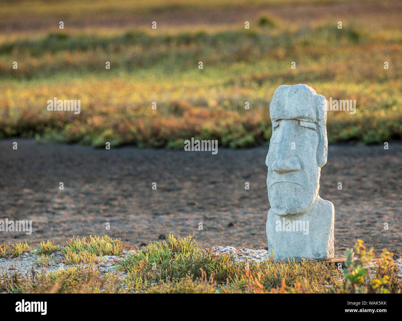 Statua sulla saldatrice appartamenti, Baia di San Antonio, Texas Foto Stock