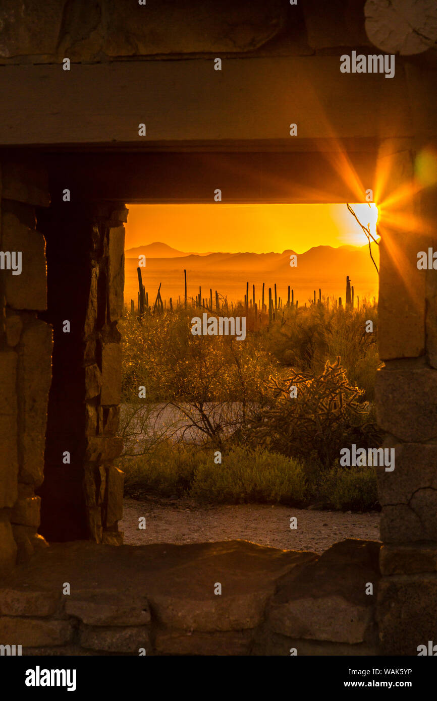 Stati Uniti d'America, Arizona, Parco nazionale del Saguaro. Cactus Saguaro tramonto attraverso picnic shelter finestra. Credito come: Cathy e Gordon Illg Jaynes / Galleria / DanitaDelimont.com Foto Stock