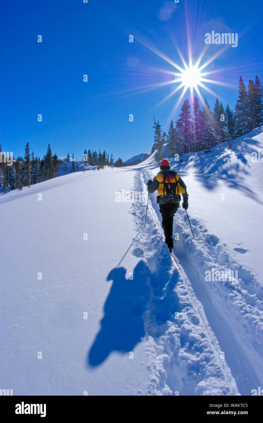 Backcountry rider in neve fresca sotto Tioga Pass, Inyo National Forest, Sierra Nevada, in California, Stati Uniti d'America. (MR) Foto Stock