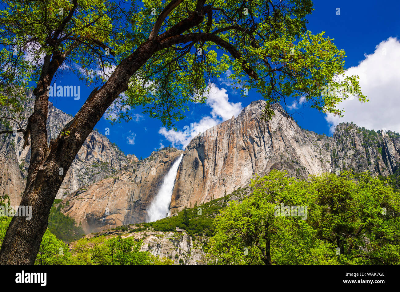 Il parco nazionale di Yosemite Falls, Yosemite National Park, California, Stati Uniti d'America. Foto Stock