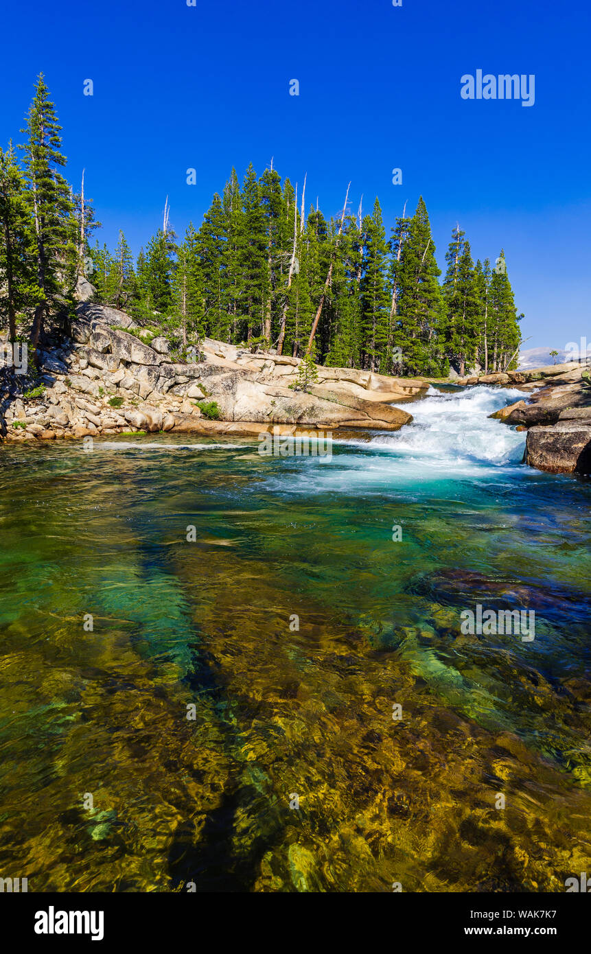 Cascata sul fiume Tuolumne, Tuolumne Meadows, Yosemite National Park, California, Stati Uniti d'America. Foto Stock