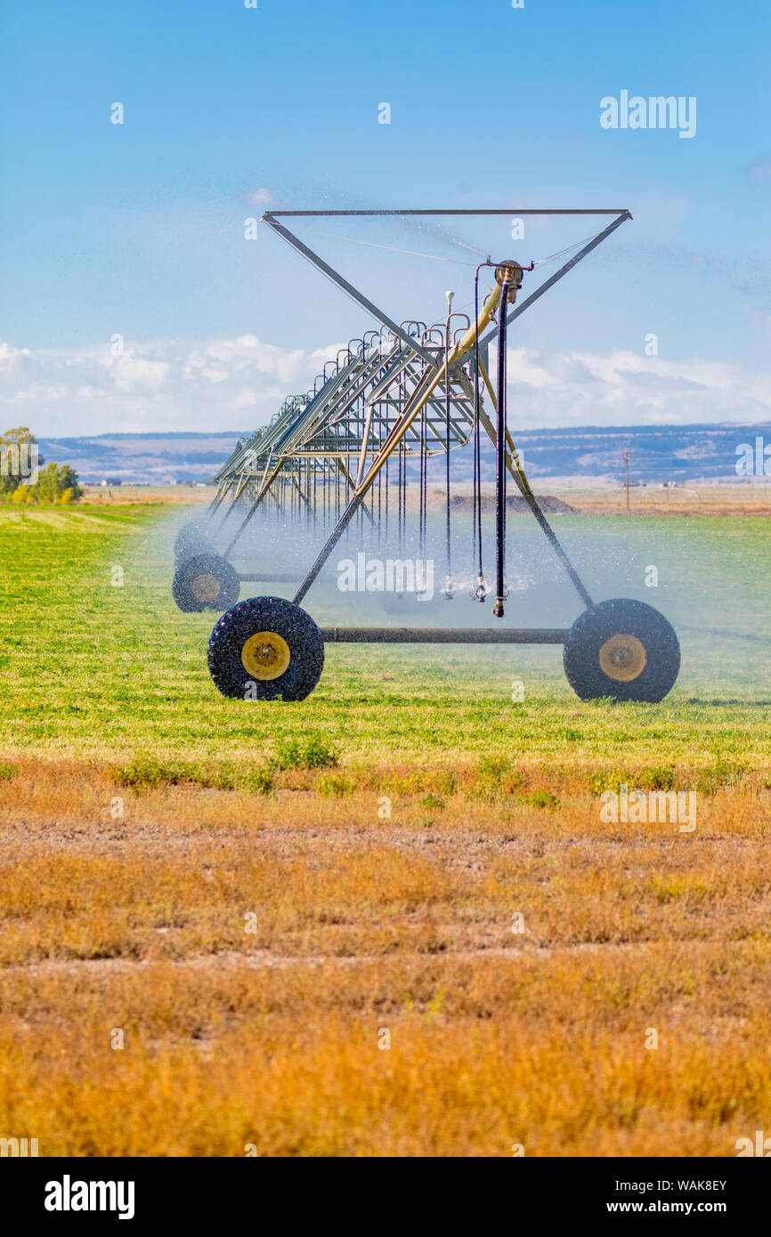 Stati Uniti d'America, Colorado, Monte Vista. Sistema di irrigazione irrigazione campo di fieno. Credito come: Fred Signore Jaynes / Galleria / DanitaDelimont.com Foto Stock