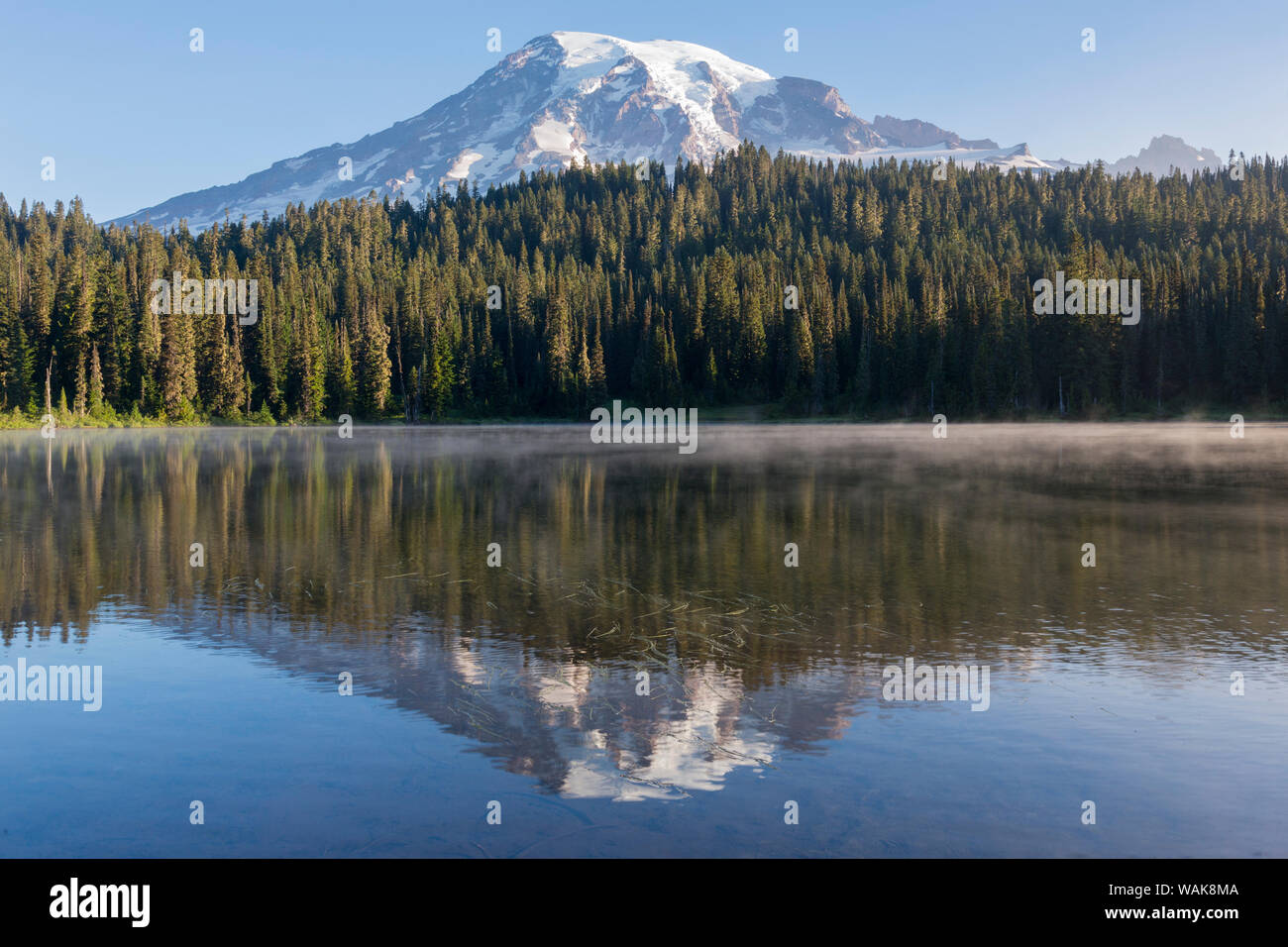 Stati Uniti d'America, nello Stato di Washington. Il Parco Nazionale del Monte Rainier, il Monte Rainier dalle riflessioni sul lago Foto Stock