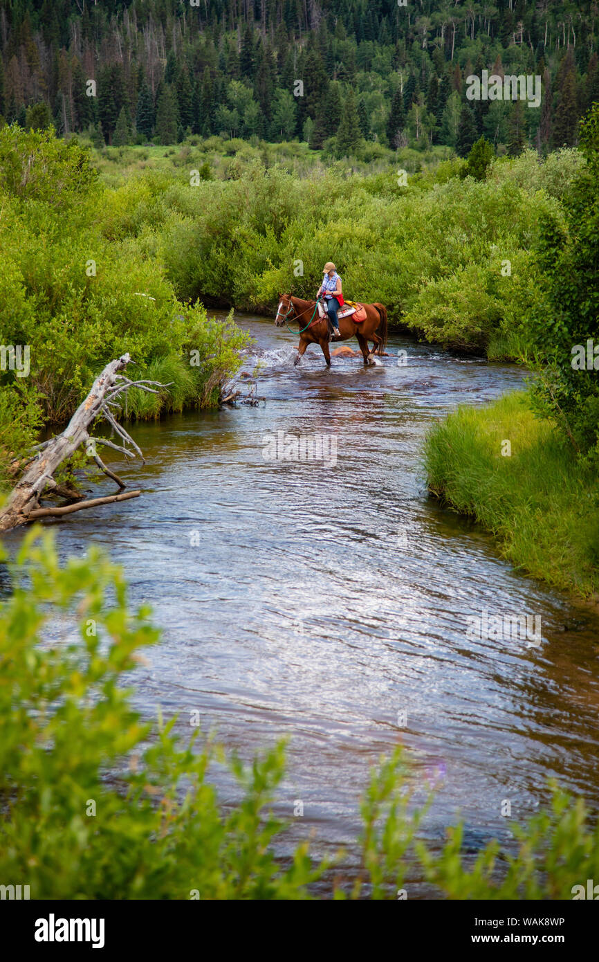 Passeggiate a cavallo nelle Montagne Rocciose. (Solo uso editoriale) Foto Stock