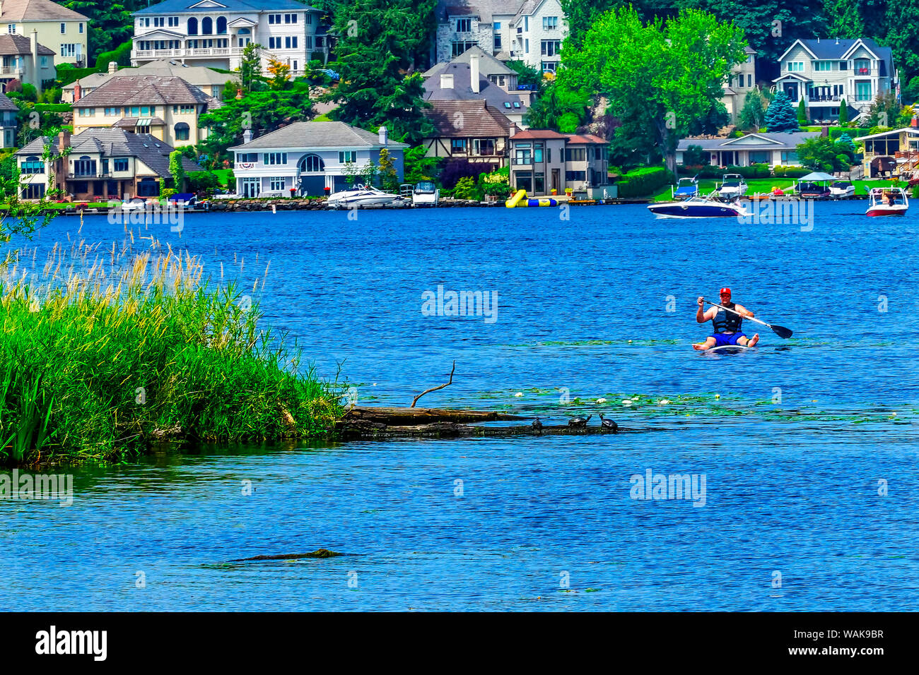 Paddler sul lago Washington, Juanita Bay Park, Kirkland, nello Stato di Washington Foto Stock