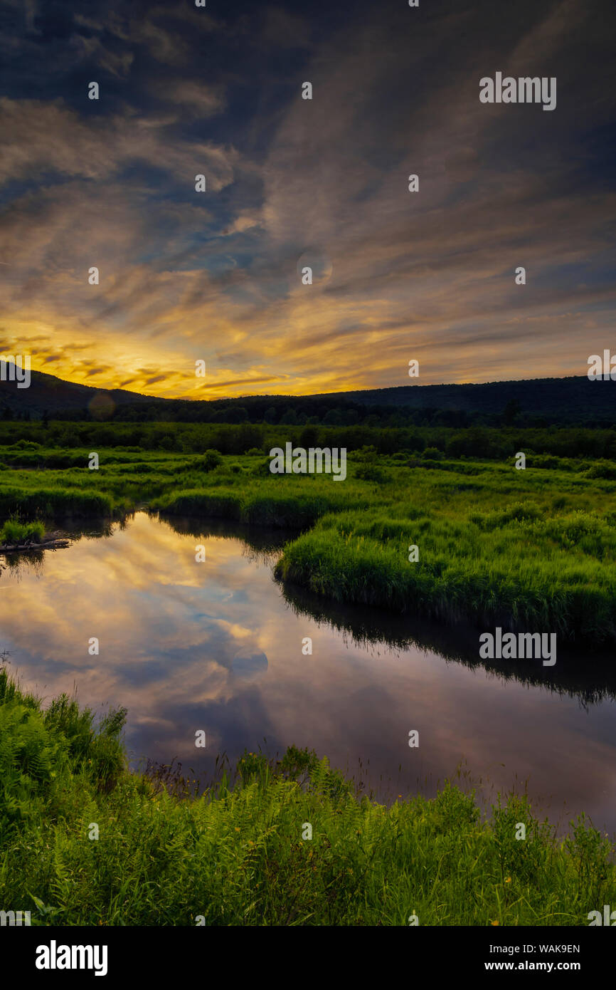 Stati Uniti d'America, West Virginia, Blackwater Falls State Park. Riflessioni in stagno. Credito come: Jay O'Brien Jaynes / Galleria / DanitaDelimont.com Foto Stock