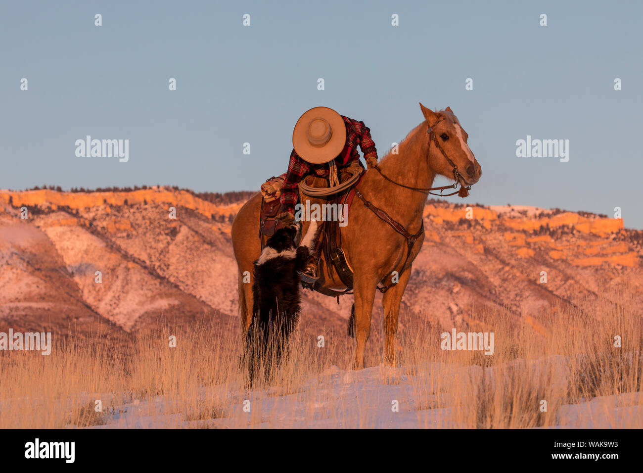 Cavallo rigido in inverno sul nascondiglio Ranch, Shell, Wyoming. Cowgirl a cavallo con il suo cane. (MR) Foto Stock