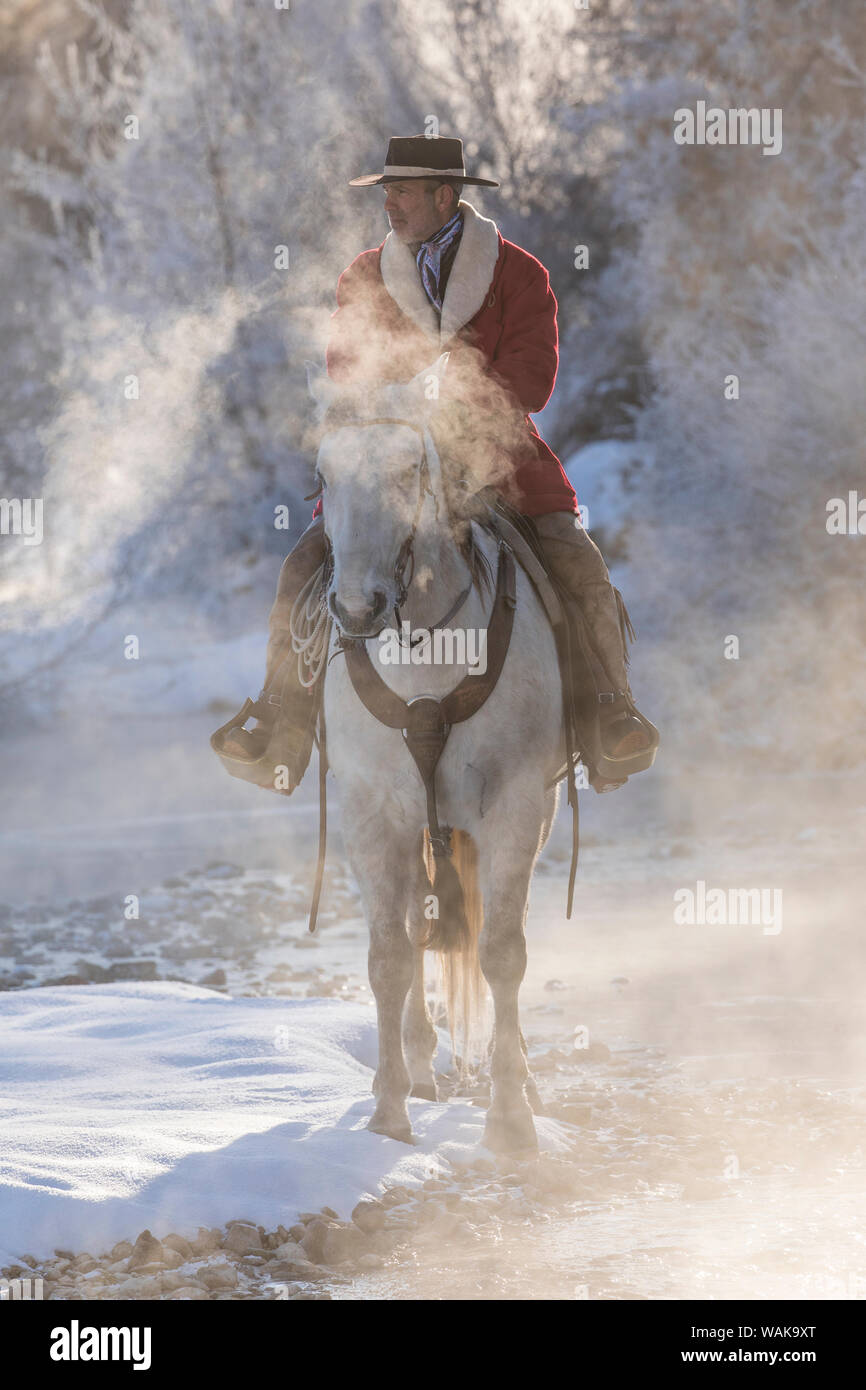 Cavallo rigido in inverno sul nascondiglio Ranch, Shell, Wyoming. Cowboy a cavallo lungo il torrente della Shell su un molto fredda foschia mattutina. (MR) Foto Stock