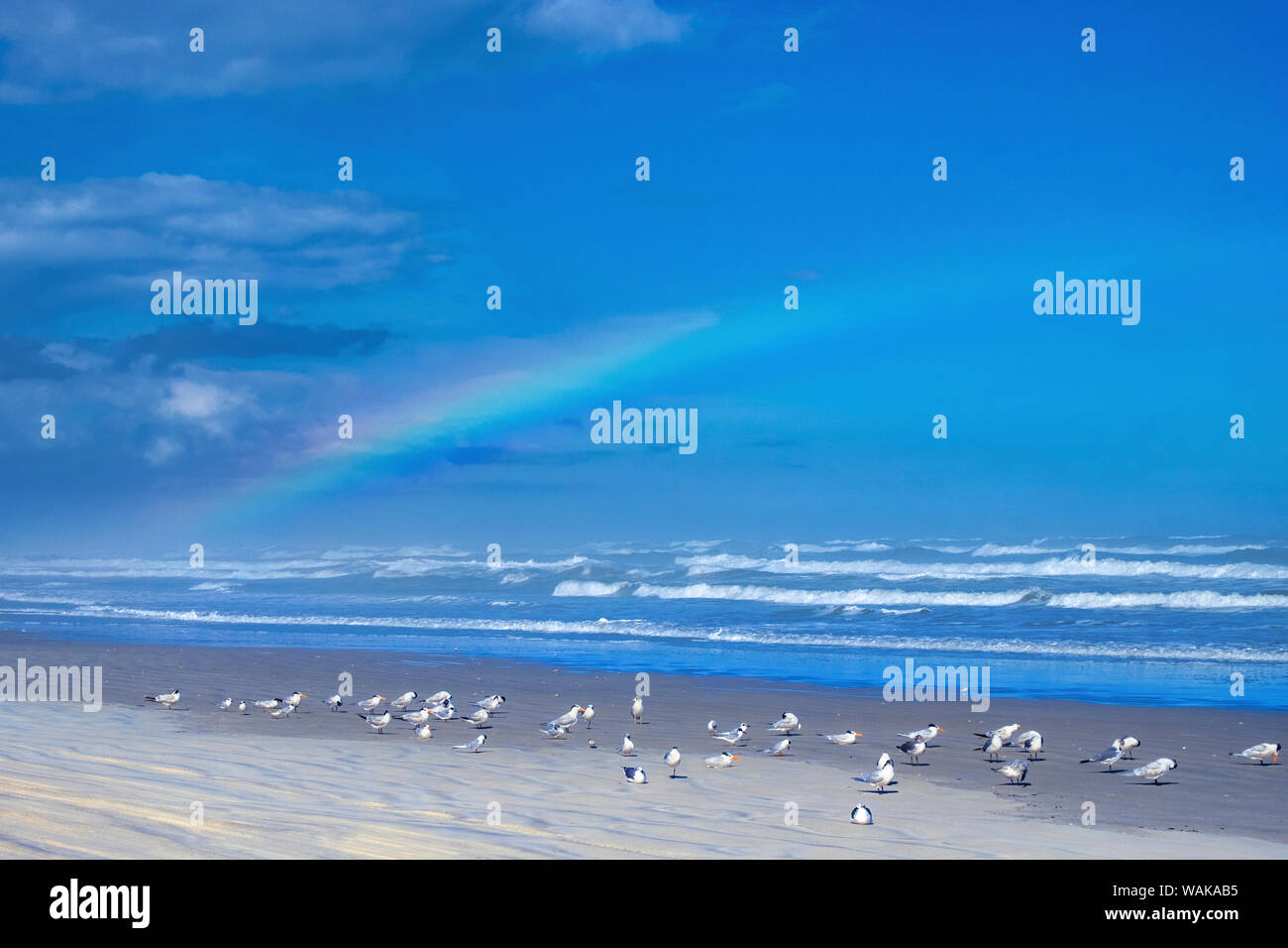 New Smyrna Beach, Florida, Stati Uniti d'America Foto Stock