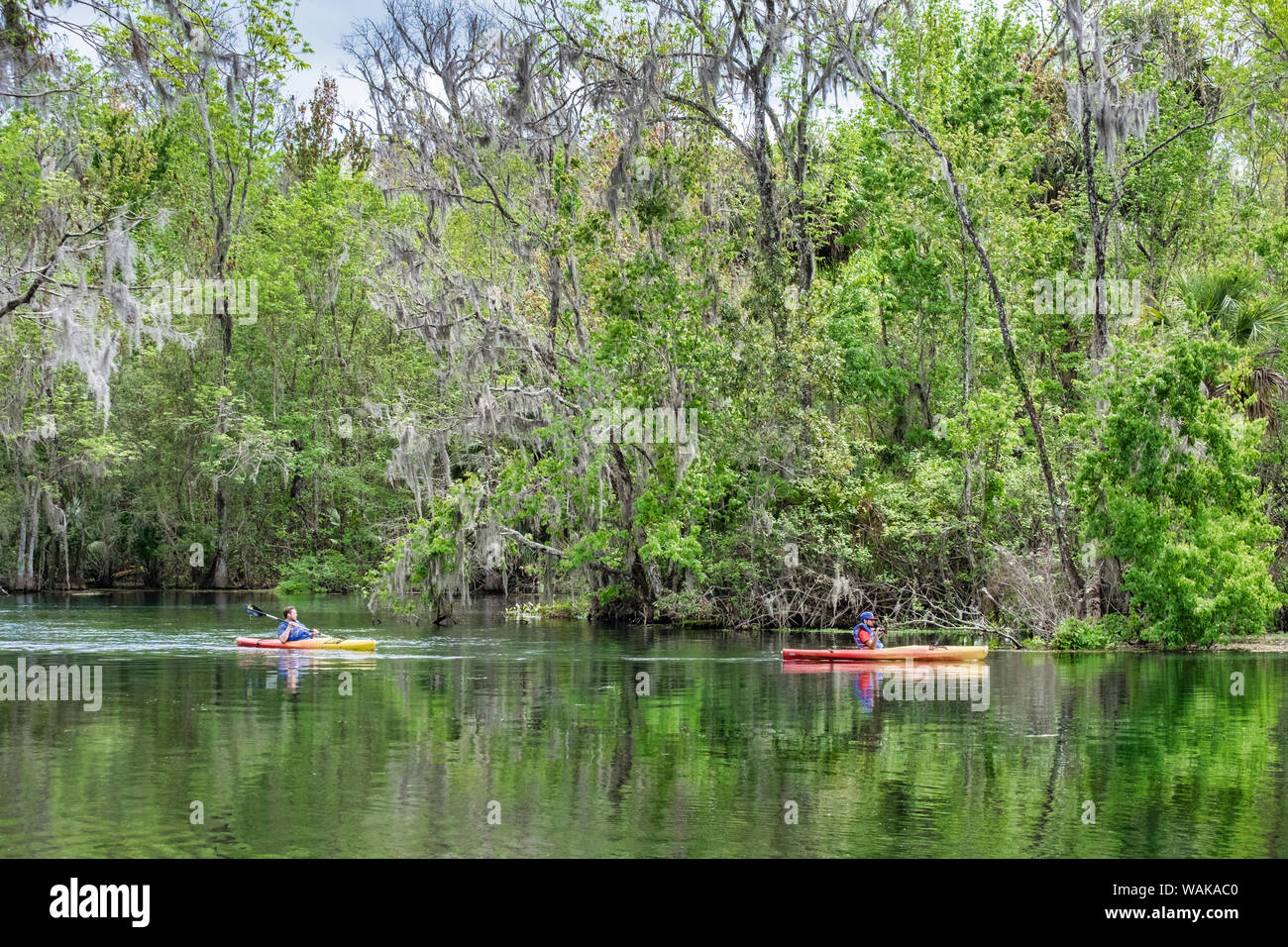 Kayakers sul fiume d'argento, Silver Springs State Park, Silver Springs, in Florida, Stati Uniti d'America Foto Stock