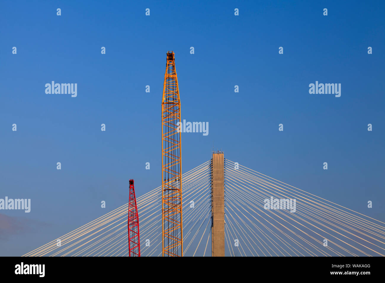Stati Uniti d'America, Georgia, Savannah. Le gru si trova vicino a via cavo alloggiato ponte del fiume Savannah. Foto Stock