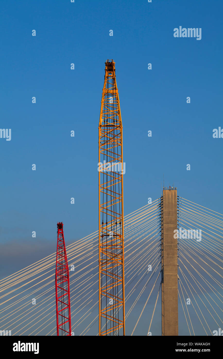 Stati Uniti d'America, Georgia, Savannah. Le gru si trova vicino a via cavo alloggiato ponte del fiume Savannah. Foto Stock