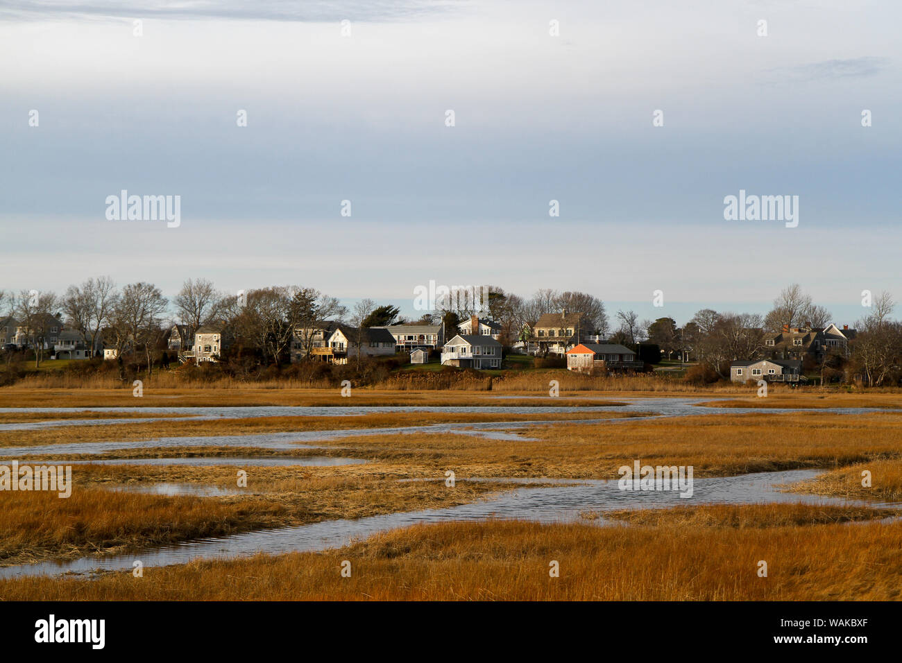 Case sul marsh, visto dal lungomare, sandwich, Cape Cod, Massachusetts, STATI UNITI D'AMERICA. Foto Stock