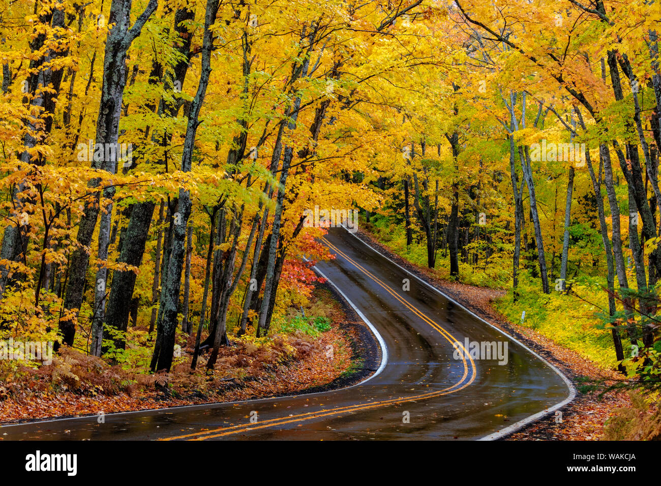 Autostrada 41 ricoperto carreggiata in autunno nei pressi del porto di rame nella Penisola Superiore del Michigan, Stati Uniti d'America Foto Stock