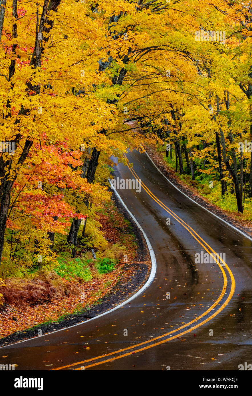 Autostrada 41 ricoperto carreggiata in autunno nei pressi del porto di rame nella Penisola Superiore del Michigan, Stati Uniti d'America Foto Stock