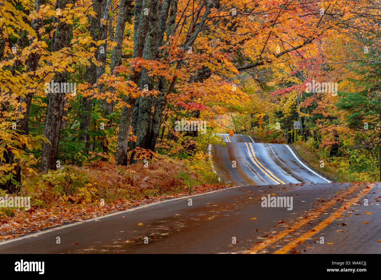 Autostrada 41 ricoperto carreggiata in autunno nei pressi del porto di rame nella Penisola Superiore del Michigan, Stati Uniti d'America Foto Stock