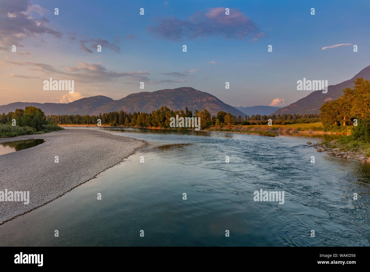 Il fiume Flathead in Columbia Falls, Montana, USA Foto Stock