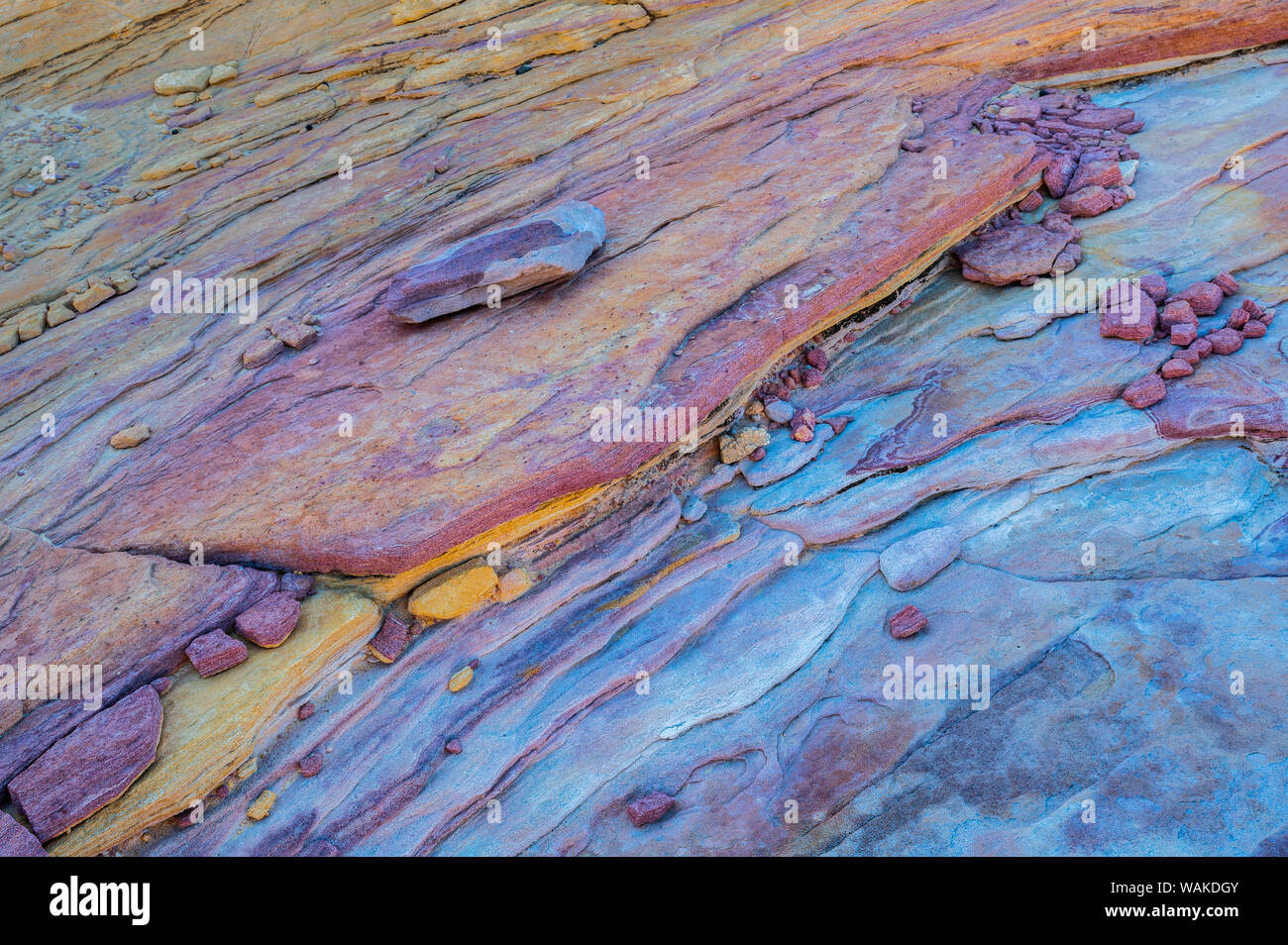 Stati Uniti d'America, Nevada, Overton, la Valle del Fuoco parco dello stato. Multi-colore di formazione di roccia. Credito come: Jay O'Brien Jaynes / Galleria / DanitaDelimont.com Foto Stock