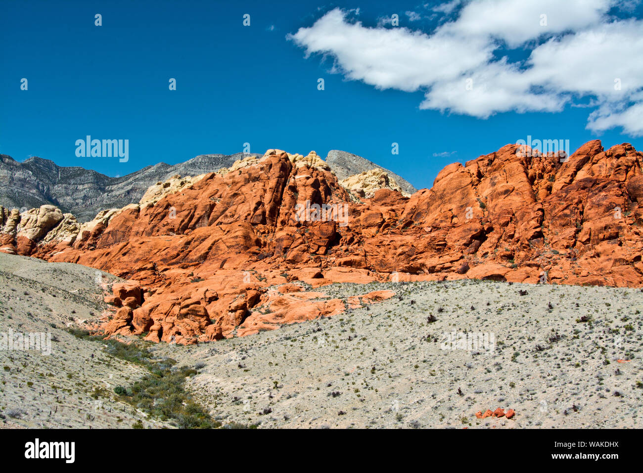 Il Red Rock Canyon National Conservation Area, Nevada, STATI UNITI D'AMERICA Foto Stock