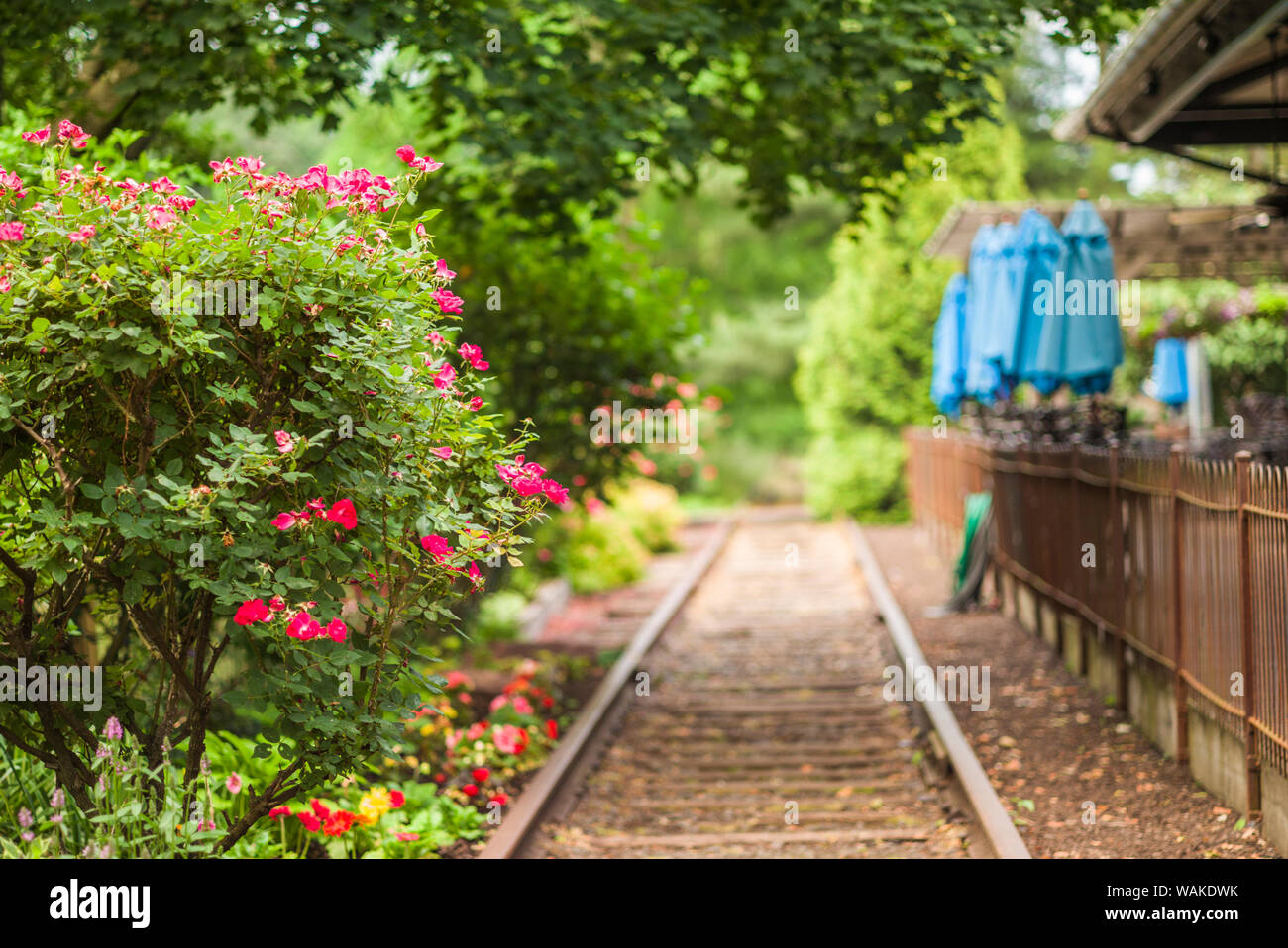 Stati Uniti d'America, New Jersey, del Delaware River Valley. Lambertville antichi binari Foto Stock