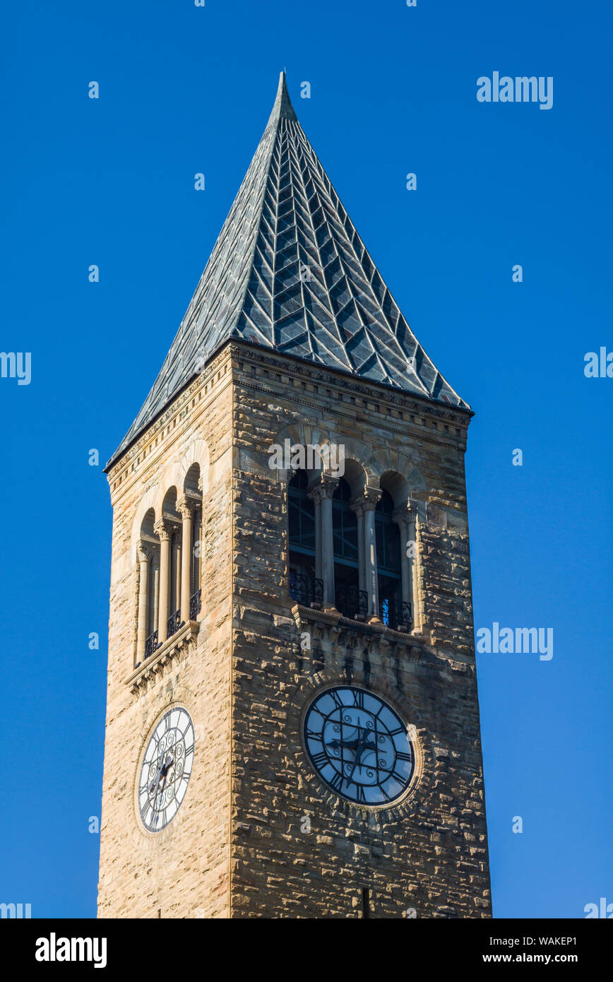 Stati Uniti d'America, New York, Ithaca. La Cornell University, McGraw Tower, estate Foto Stock