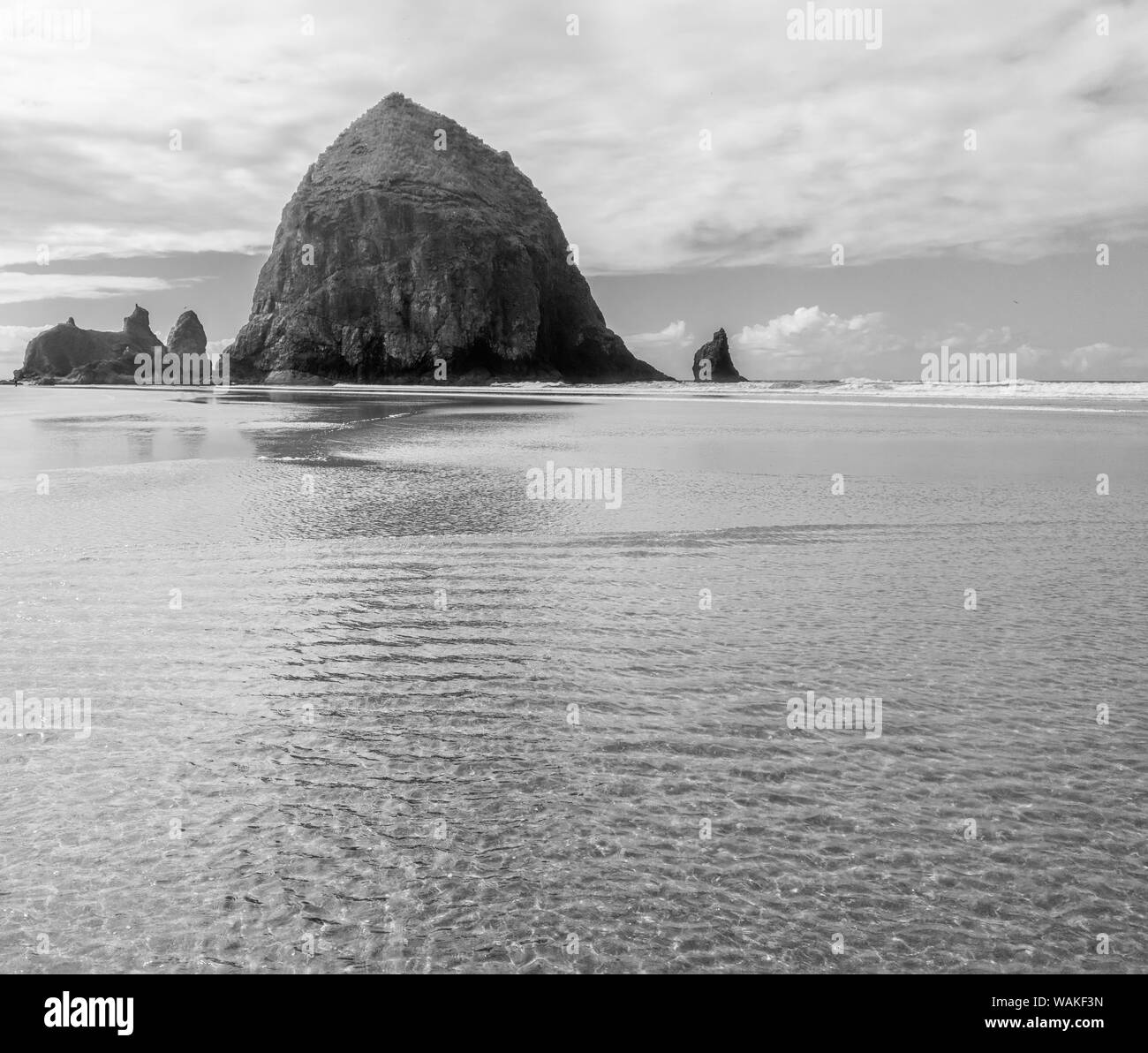 Stati Uniti d'America, Oregon, Cannon Beach. In bianco e nero di Haystack Rock riflettendo in sabbia. Credito come: Wendy Kaveney Jaynes / Galleria / DanitaDelimont.com Foto Stock Stati Uniti d'America, Oregon, Cannon Beach. In bianco e nero di Haystack Rock riflettendo in sabbia. Credito come: Wendy Kaveney Jaynes / Galleria / DanitaDelimont.com Foto Stock