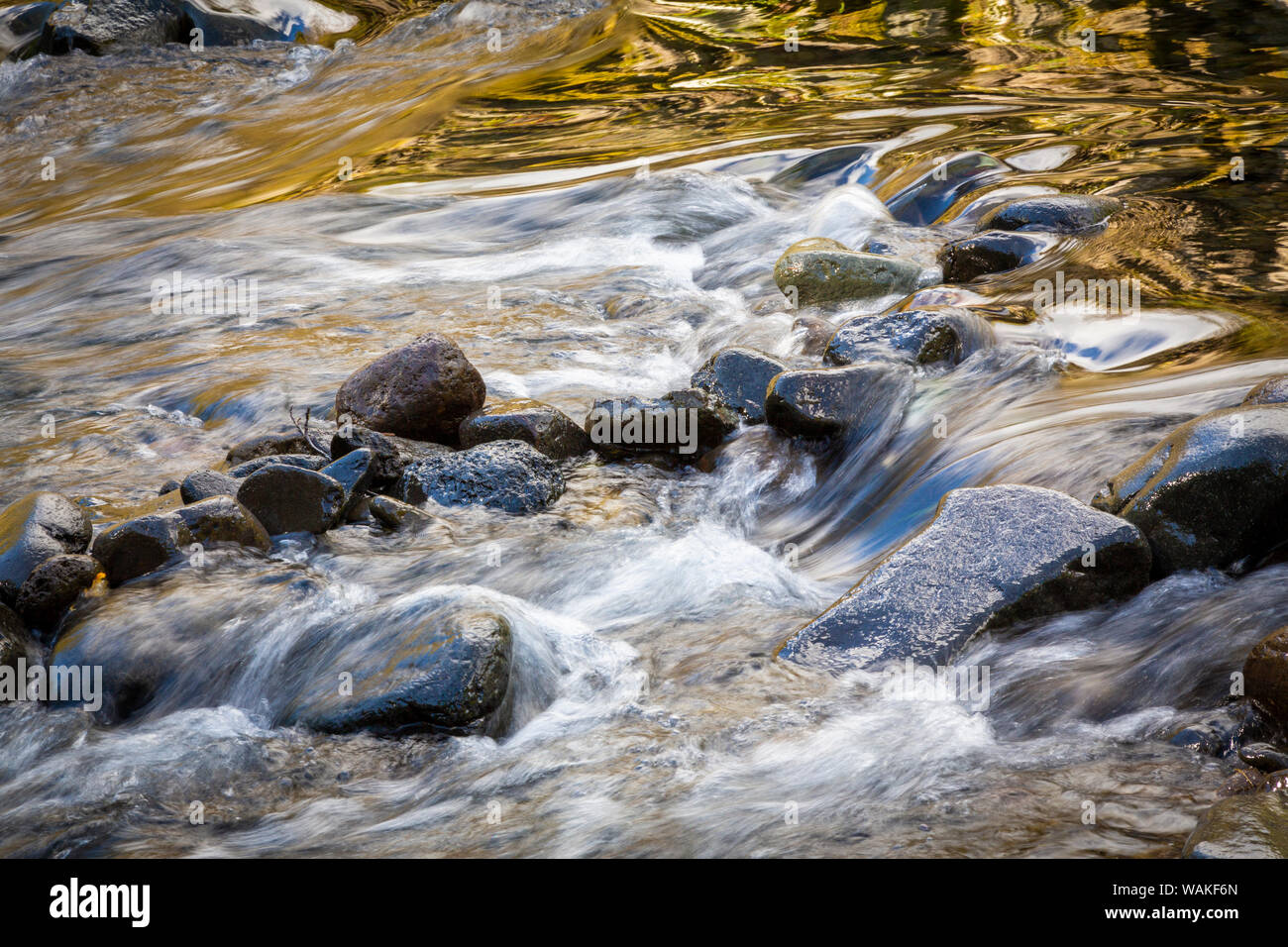 Stati Uniti d'America, Oregon. Autunno colori riflessi nel fiume Wilson rapids. Credito come: Wendy Kaveney Jaynes / Galleria / DanitaDelimont.com Foto Stock