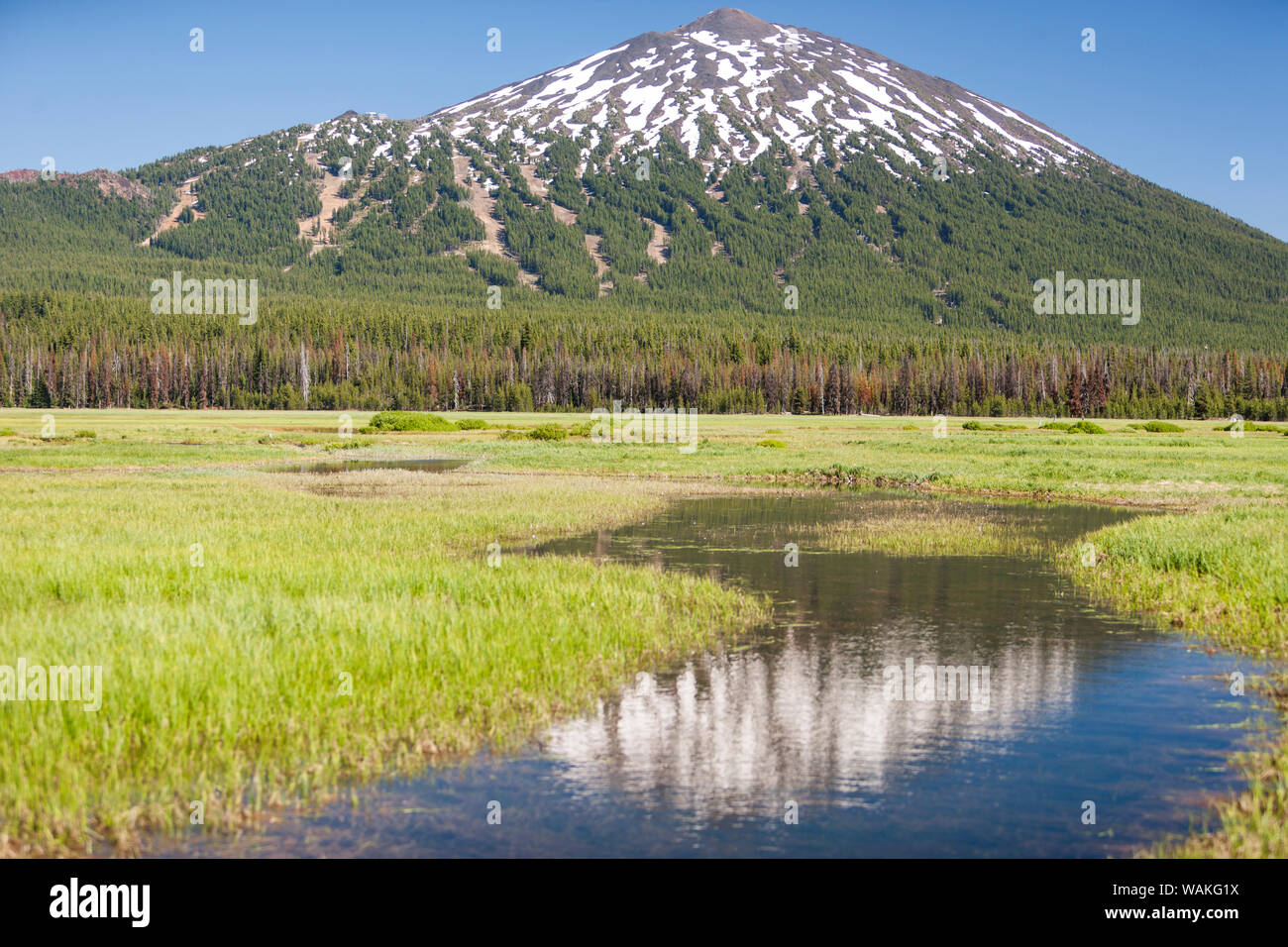 Olandese appartamenti, vicino al lago di scintille, Mt. Corso di laurea dietro, Eastern Oregon, Stati Uniti d'America Foto Stock