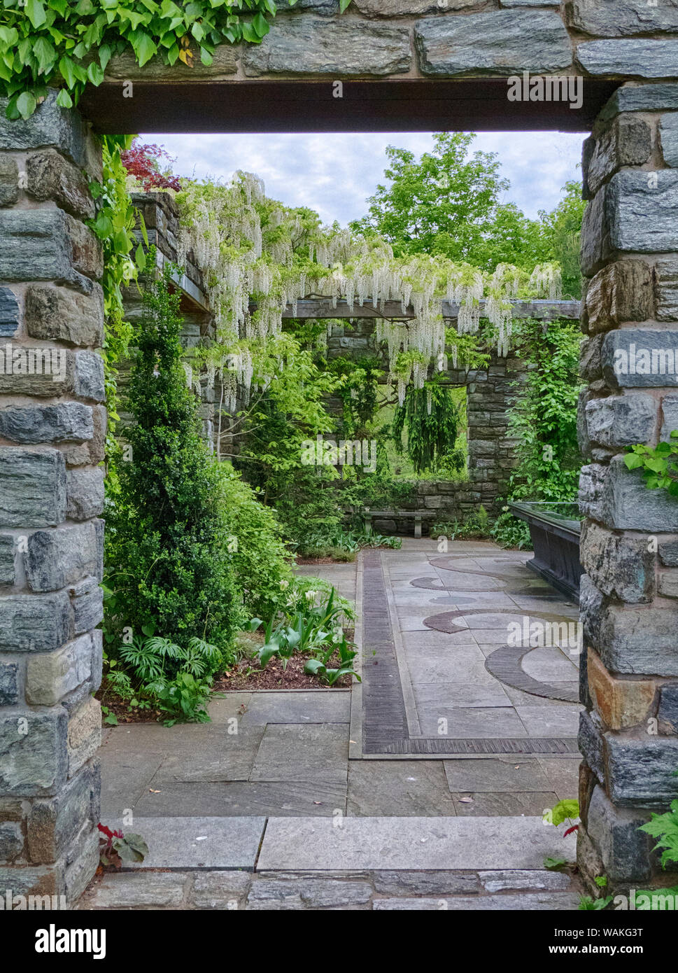 Stati Uniti d'America, Pennsylvania. Arco in un'area giardino con glicini appeso sul trellis. Foto Stock