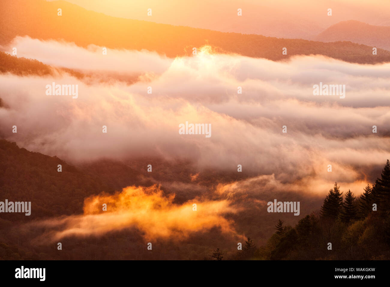 Stati Uniti d'America, Tennessee. Nebbia mattutina nelle Smoky Mountains. Foto Stock