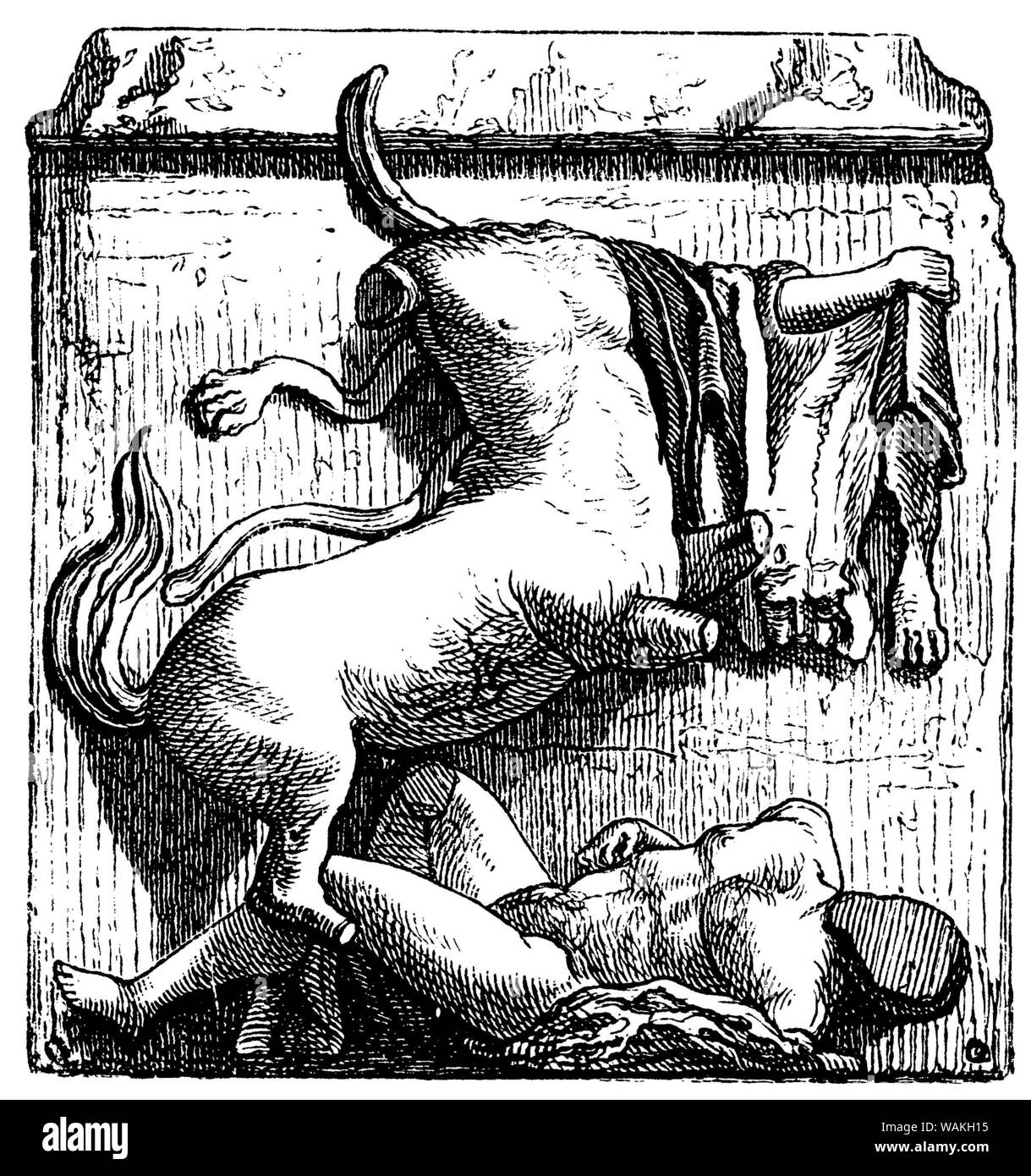 Metope del Partenone, , (storia dell'arte libro, 1887) Foto Stock
