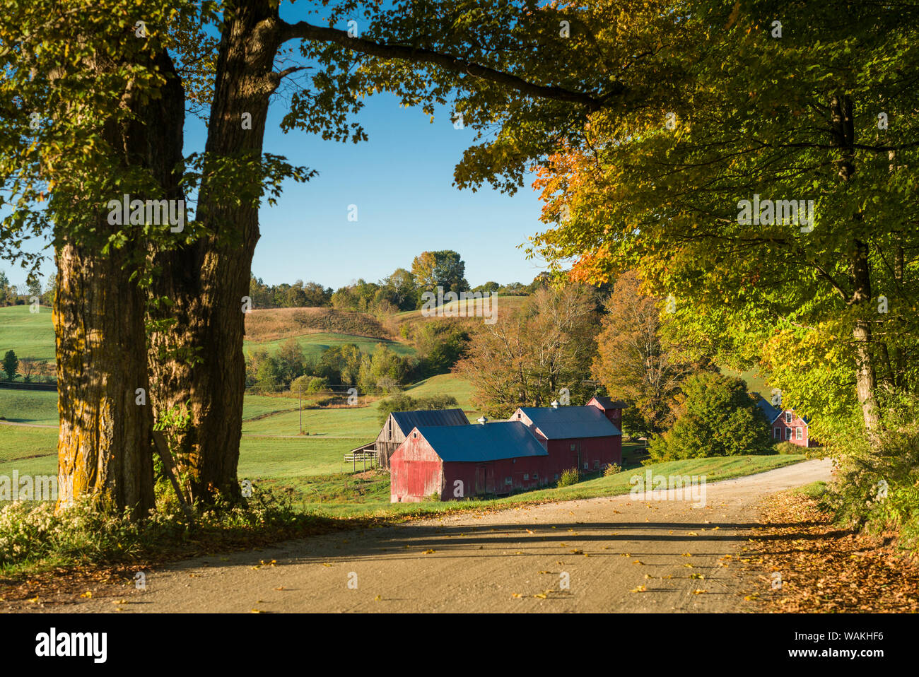 Stati Uniti d'America, Vermont, lettura. Fattoria di Jenne Foto Stock