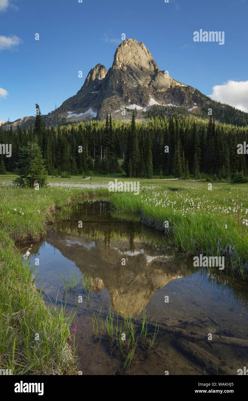 Liberty Bell Mountain si riflette nelle acque di stato Creek, nello Stato di Washington Pass prati, North Cascades, nello Stato di Washington Foto Stock