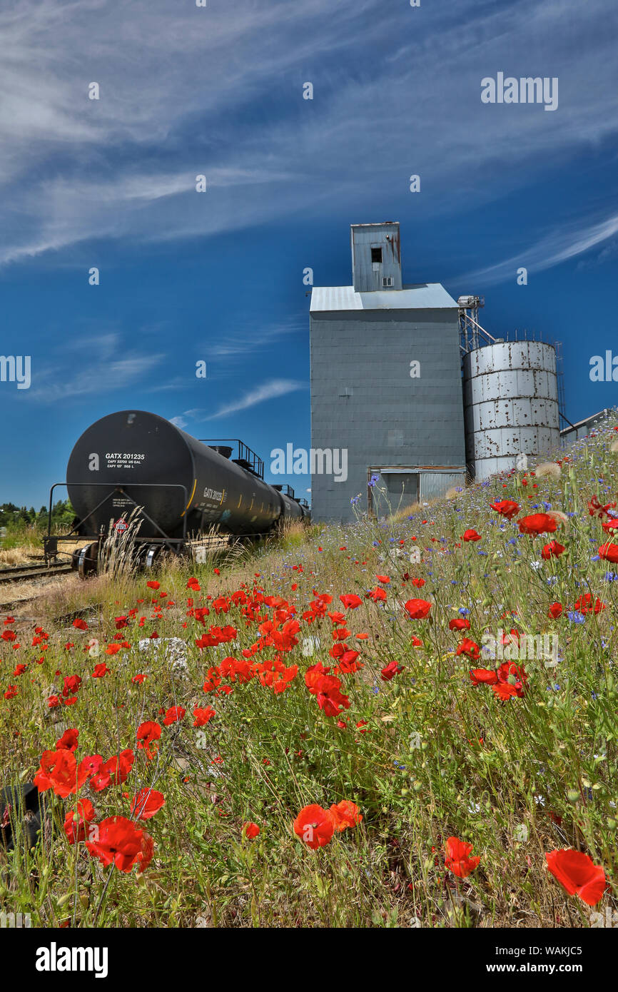 Ferrovia lungo la cisterna silo metallico e di papavero su una collina in piena fioritura, Garfield, Eastern Washington Foto Stock