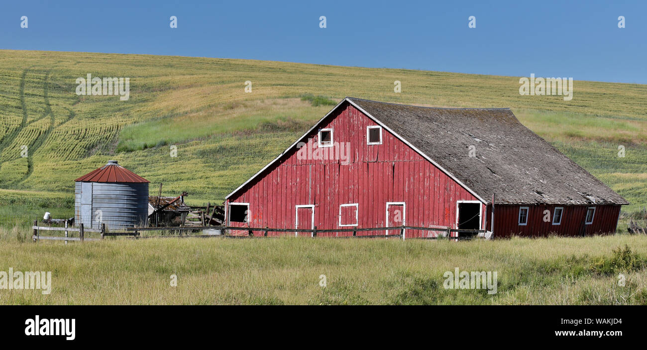 Granaio rosso e silo con campi di grano a sud di San Giovanni, Eastern Washington Foto Stock