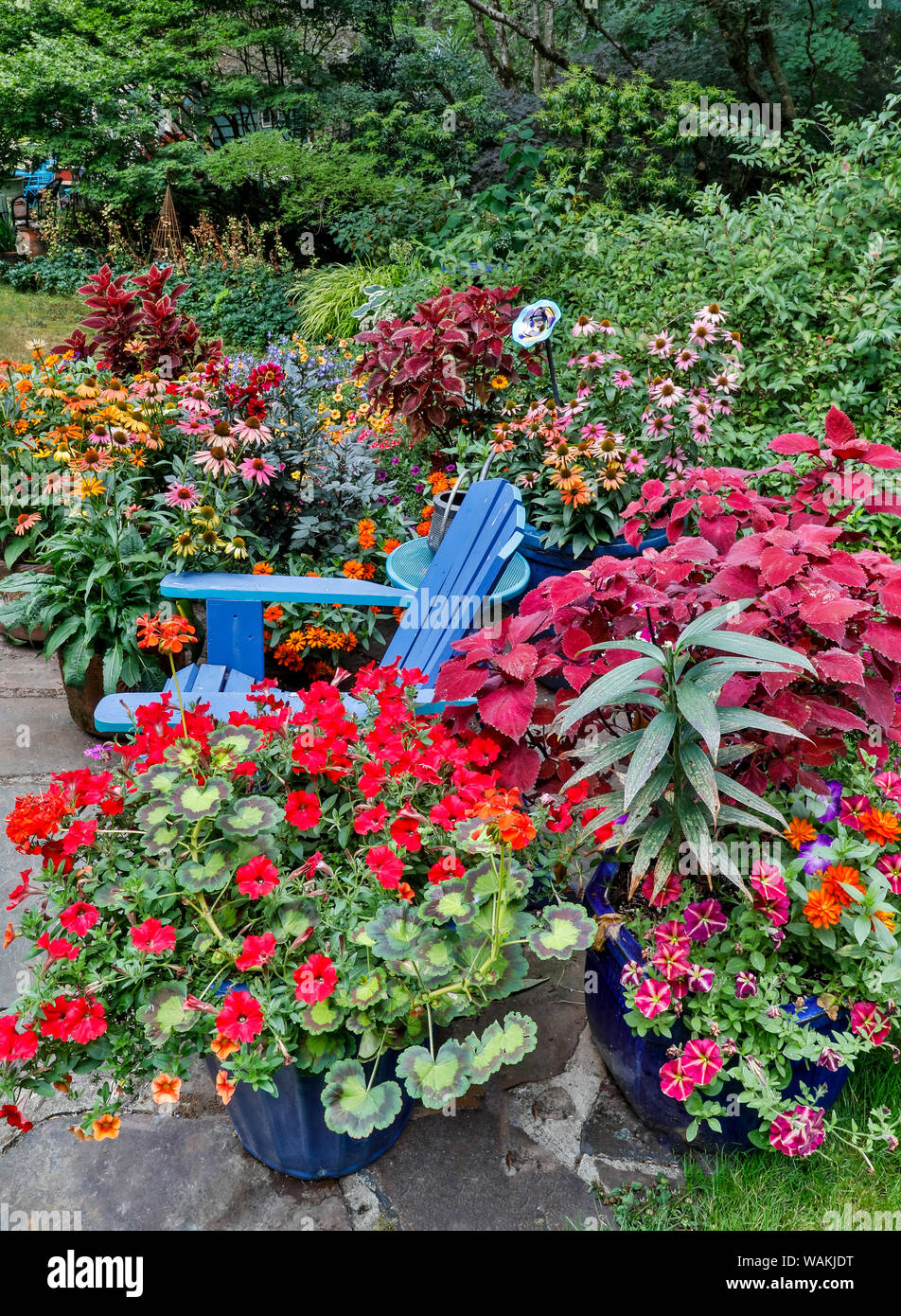 Giardino in piena fioritura con sedia blu, Sammamish, nello Stato di Washington Foto Stock