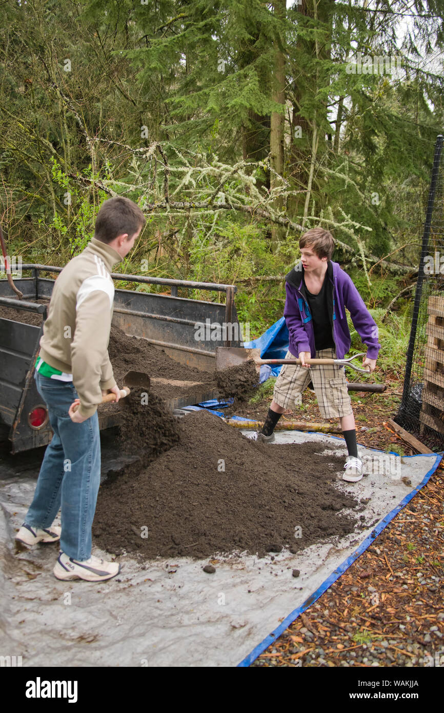 Issaquah, nello Stato di Washington, USA. Ragazzi adolescenti spalare veggie mix sporco per comunità giardino. (MR, PR) Foto Stock