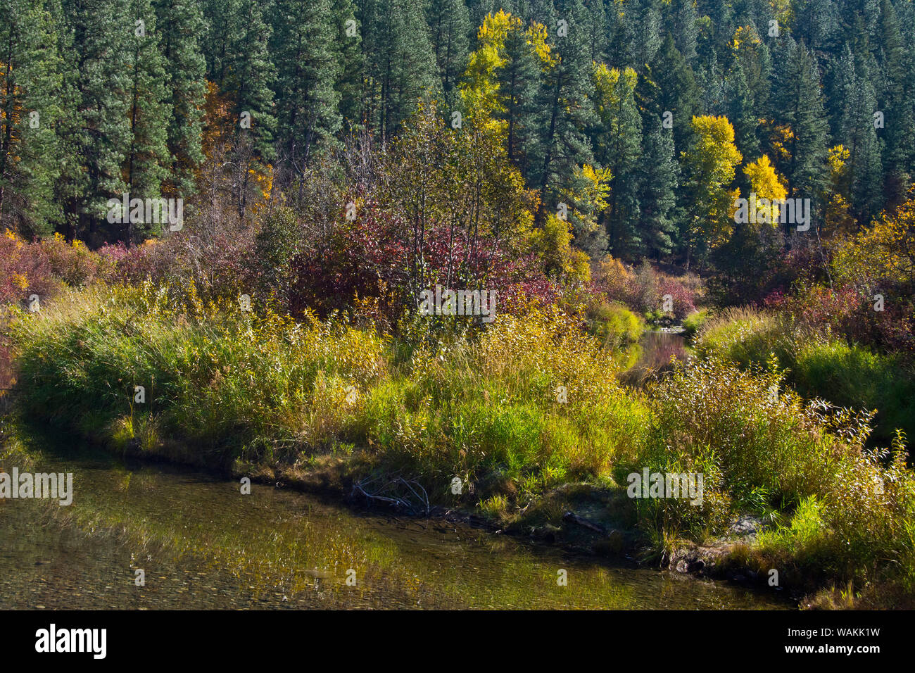 Colore di autunno, Leavenworth National Fish Hatchery, nello Stato di Washington, USA Foto Stock