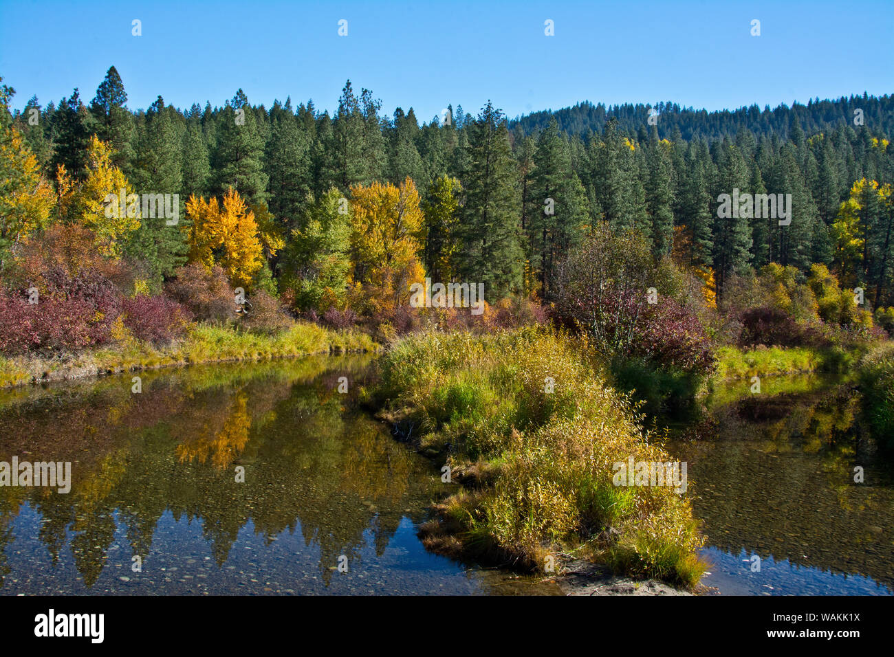 Colore di autunno, riflessioni, Leavenworth National Fish Hatchery, nello Stato di Washington, USA Foto Stock