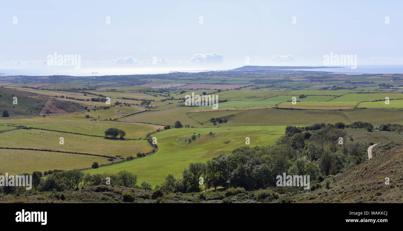 Hardy Monument, black Down, Dorset Foto Stock