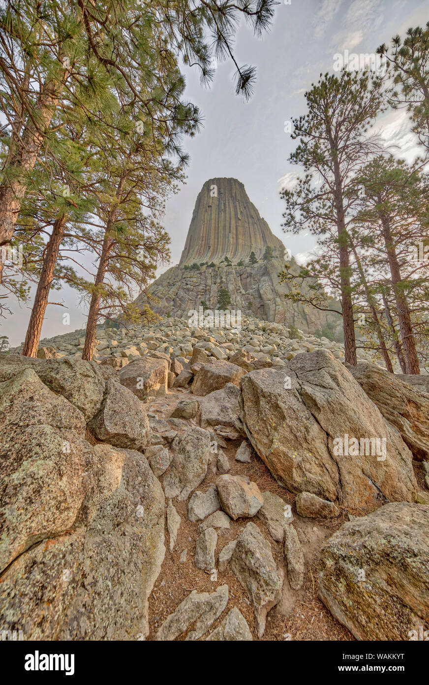 Vista dalla zona circostante di Devil's Tower nei pressi di Sundance, Wyoming negli Stati Uniti. Credito come: Fred Signore Jaynes / Galleria / DanitaDelimont.com Foto Stock