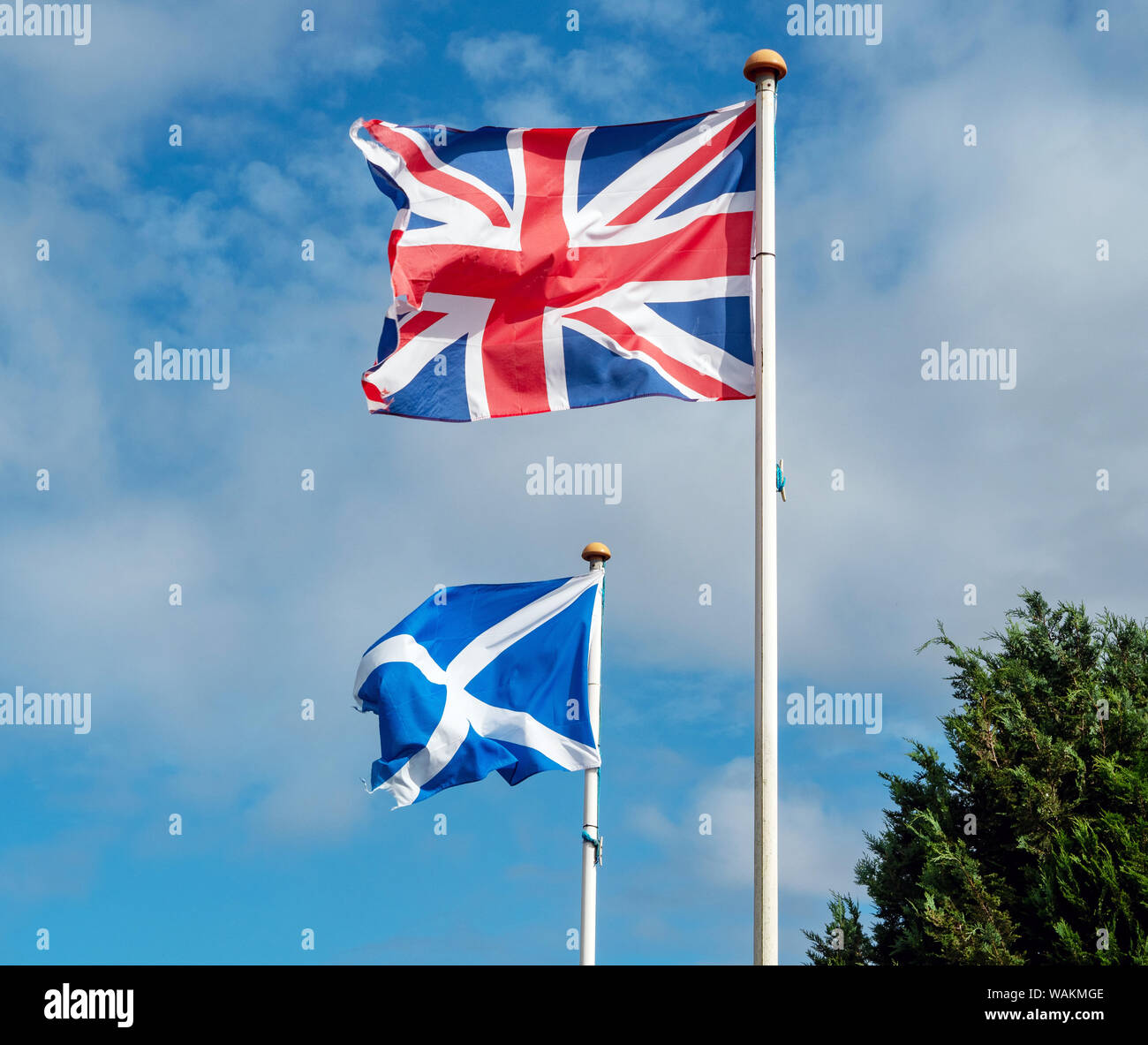 L'Unione Jack battenti accanto lo scozzese si intraversa a Fenton Barns, East Lothian, Scozia, Regno Unito. Foto Stock