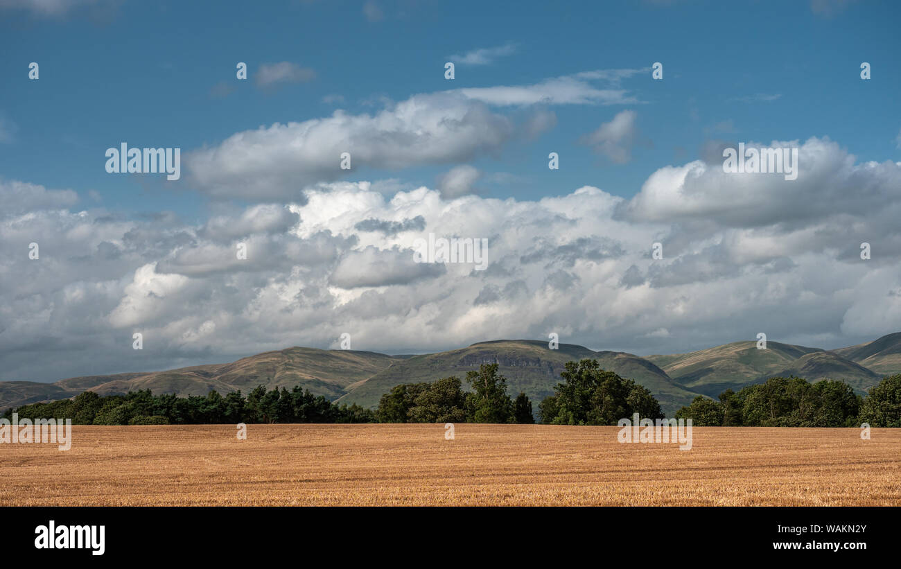 Paesaggio panoramico vicino alla città di Stirling in Scozia Lowlands con le Ochil Hills in background Foto Stock