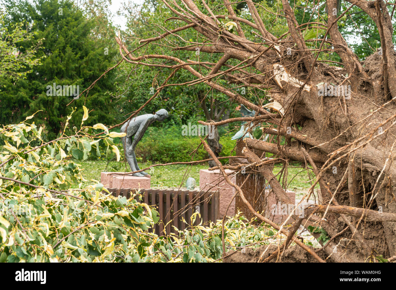 Distruzione dopo la tempesta. Rotture di alberi. Tempesta di grandine in città. Parco distrutto in una città tedesca. Foto Stock