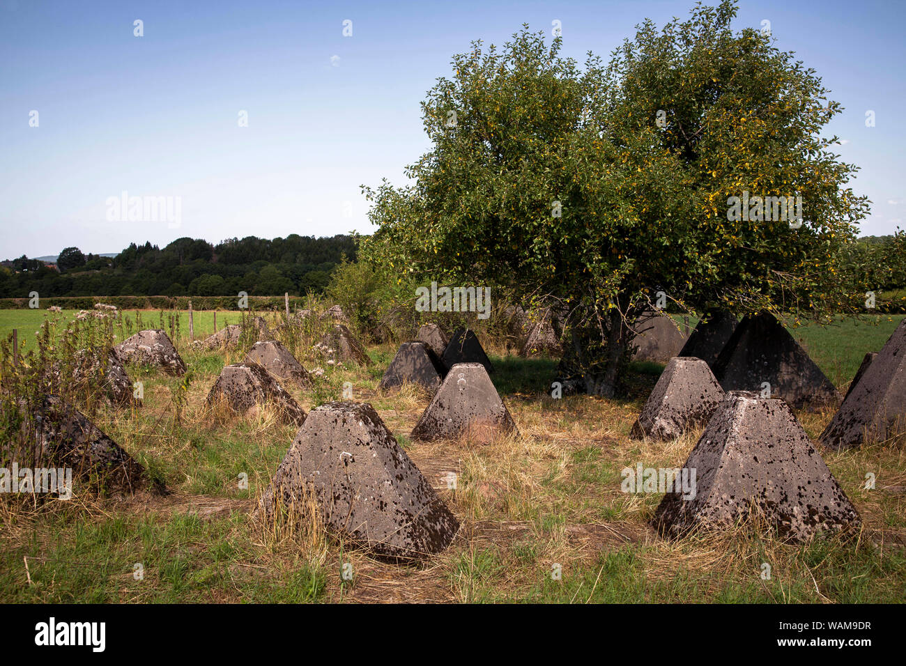 Le trappole del serbatoio della linea Siegfried Schmithof vicino a sud di Aquisgrana, Renania settentrionale-Vestfalia (Germania). Panzersperren des Westwall bei Schmithof im Foto Stock